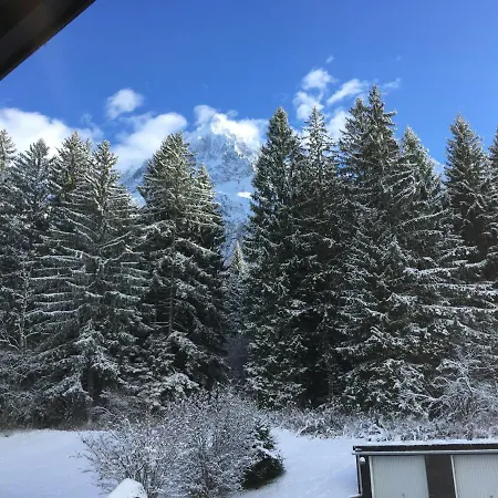 Daire Cosy Au Pied Du Mtblanc