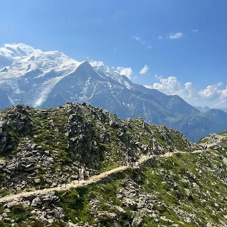 Cosy Au Pied Du Mtblanc شقة