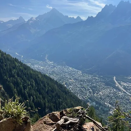 شقة Cosy Au Pied Du Mtblanc