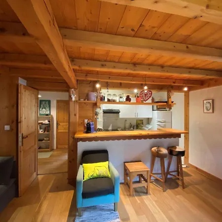 Διαμέρισμα Cosy Au Pied Du Mtblanc Σαμονί