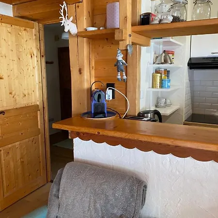 Cosy Au Pied Du Mtblanc *