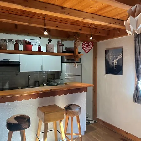 Cosy Au Pied Du Mtblanc * Chamonix
