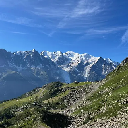 Cosy Au Pied Du Mtblanc
