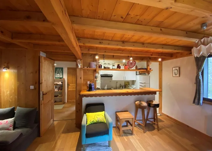 公寓 Cosy Au Pied Du Mtblanc 霞慕尼