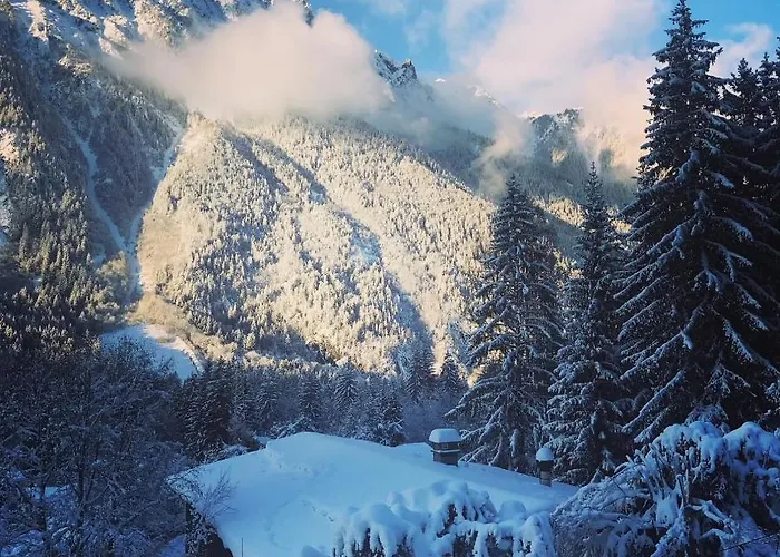 Cosy Au Pied Du Mtblanc * 霞慕尼