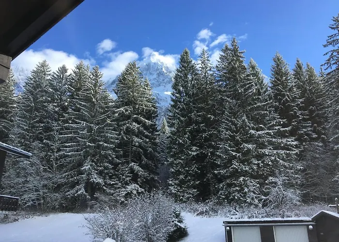 公寓 Cosy Au Pied Du Mtblanc