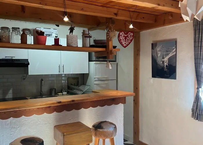 Cosy Au Pied Du Mtblanc * 霞慕尼