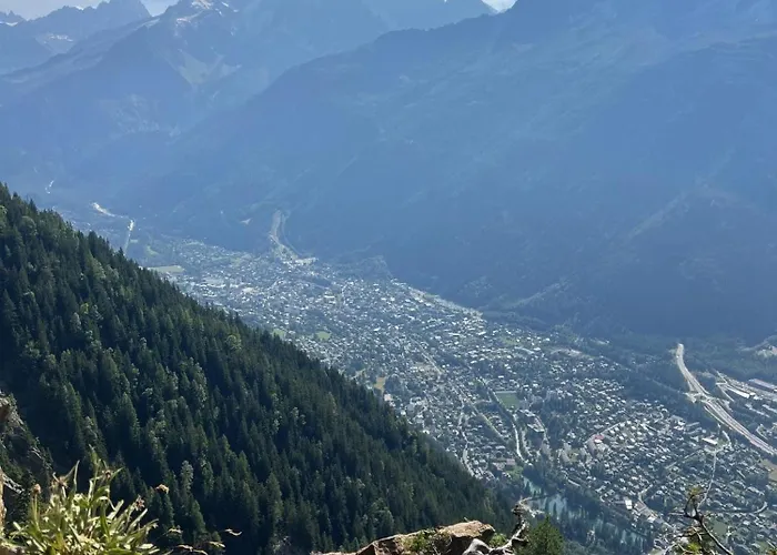 公寓 Cosy Au Pied Du Mtblanc